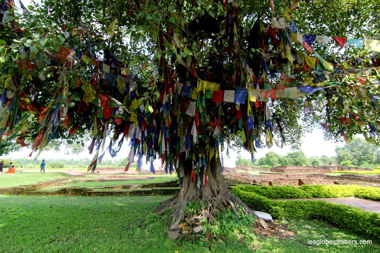 Lire la suite à propos de l’article Lumbini : ville de naissance de Bouddha