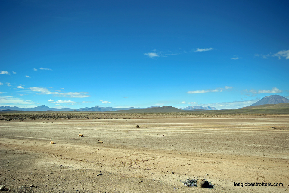 Lire la suite à propos de l’article D’Arequipa à Puno une longue route