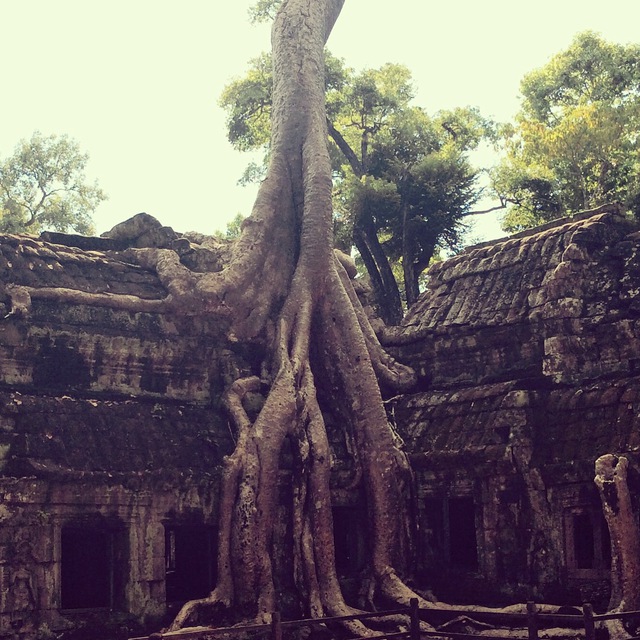 Lire la suite à propos de l’article Angkor des temples à Encore